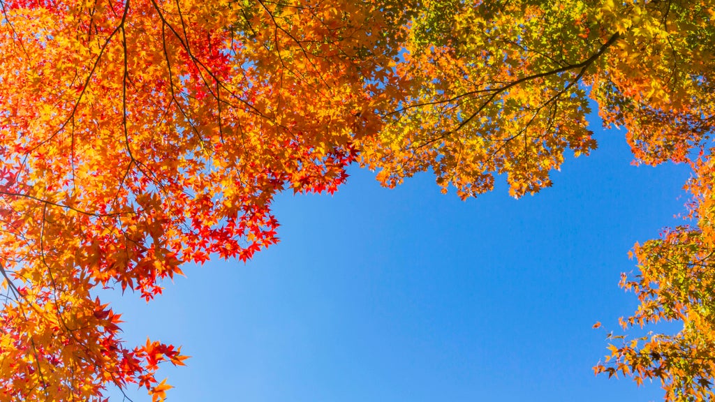 Sunny Friday in Twin Cities with mostly dry Halloween weekend — Richfield Sports news